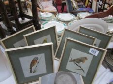 6 bird prints,