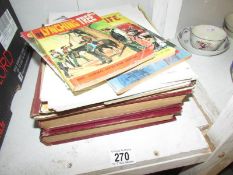 A collection of RAF books, military,