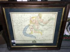 A framed and glazed celestial map - Aquarius.