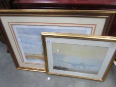 2 framed and glazed prints.