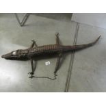 Taxidermy - a small crocodile.