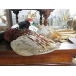 Taxidermy - a pheasant.