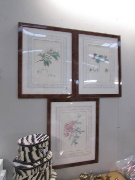 3 framed and glazed botanical prints.