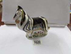A Royal Crown Derby paperweight, Rough Collie.