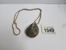 A Brazilian agate fossil on gold plated chain.