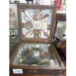 A folding display case of shells, rocks, insects etc.