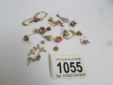 A quantity of gold earrings and studs.
