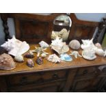 A collection of sea shells and star fish etc.