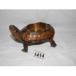 Taxidermy - a small tortoise as a pin tray.