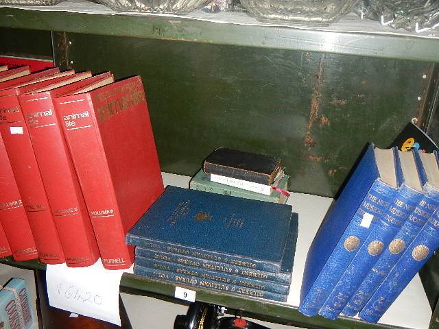 A shelf of animal and music related books.