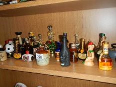 A shelf of miniature spirits etc.