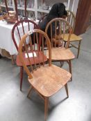 5 Ercol dining chairs.