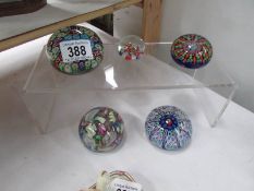 4 millifiori paperweights and one other.