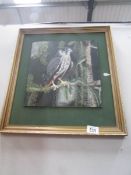 An oil on board study of a falcon signed W M Schofield.