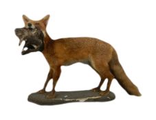 Taxidermy - a fox with kill.