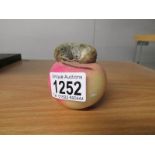 Taxidermy - a shrew on an apple.