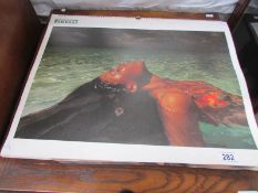 A 1970 Pirelli calendar and 5 sheets of Pirelli images.