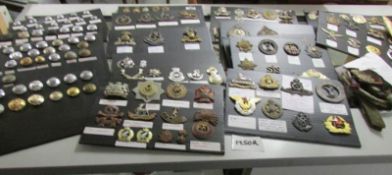 A large collection of military cap badges, buttons etc.