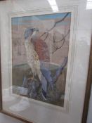 A framed and glazed study of a bird of prey signed Rolston Gudgeon.