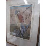 A framed and glazed study of a bird of prey signed Rolston Gudgeon.