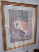 A framed and glazed print of a barn owl,