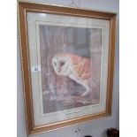 A framed and glazed print of a barn owl,