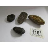 4 fossils found by the army whilst drilling for oil at the Eaking site in Newark, WW2,