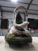 Taxidermy - a preserved Burmese python.