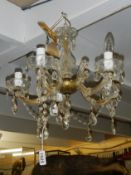 A 5 lamp glass chandelier.