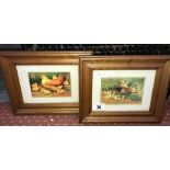 A pair of framed and glazed hens with chicks prints.