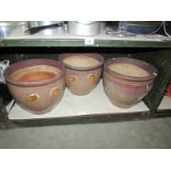 A shelf of ceramic planters.