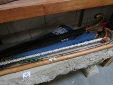 A quantity of walking sticks and umbrellas.