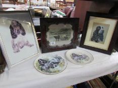 A quantity of cocker spaniel pictures and collector's plates.