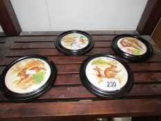 4 framed pot lids depicting animals and birds.