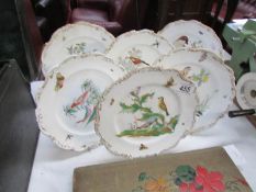 A set of 6 hand painted plated depicting birds with insect around the edges.