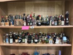 2 shelves of alcohol miniatures.