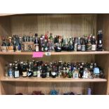 2 shelves of alcohol miniatures.