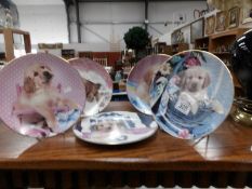 5 boxed limited edition golden puppy plates by Paulette Braun, with certificates.