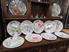 a se tof 11 Cavershall china 'Country Diary of an Edwardian Lady' collector's plates.