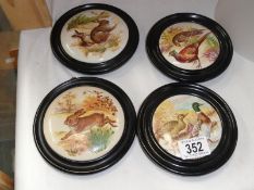 4 framed animal pot lids.