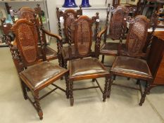 A set of 6 oak dining chairs with cane back panels.
