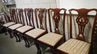 A set of 6 mahogany chairs.