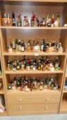 4 shelves of miniature wines and spirits.