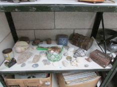A shelf of miscellaneous boxes, sea shells etc.