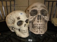 2 large skulls