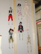 A collection of wall hanging skeletons