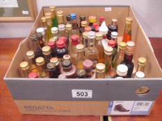 A box of alcoholic miniatures