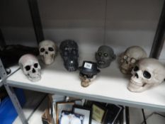 7 skulls and heads