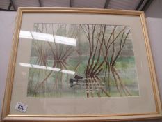 A framed and glazed watercolour of Ducks on River signed TIV ?