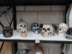 7 skulls